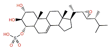 Acanthosterol sulfate F